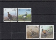 Fauna, ptaki, Irlandia, **