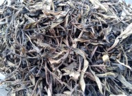 TEA Planet - Herbata Oolong Phoenix Dan Cong -50 g