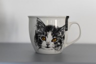 Torba w torbie, czyli kotki w worku prosto z Japonii x Fundacja KOT