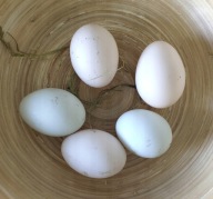 Jaja kurze swojskie wiejskie jajka z wolnego wybiegu ekologiczne 10 szt