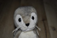 nowy pluszak maskotka cudna foka Robby Steiff 063114 ręcznie uszyta