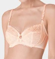 Triumph Iris Florale W 75 B morelowy + GRATIS