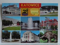 KATOWICE SPODEK ŻUBR