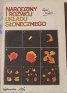 NARODZINY I ROZWÓJ UKŁADU SŁONECZNEGO Olgierd Wołczek