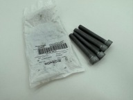 4x śruba hamulce Volkswagen PORSCHE OE 9A70075850