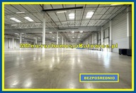 Magazyny i hale, Ruda Śląska, 13147 m²