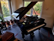 Fortepian C. BECHSTEIN dł. 200cm 1894r piękny CZARNY POŁYSK
