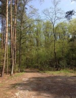 Działka, Raszyn, Raszyn, Pruszkowski, 2400 m²