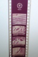 Bajka na rzutnik Elemelek Jedzie nad Morze PZFP