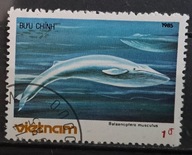 Ryby (kas) - luzak - do uzupełnień 13/6