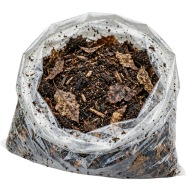 Miks próchna i liści 3l – mocno próchniczne podłoże dla isopodów