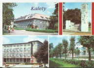 KALETY WOJ ŚLĄSKIE