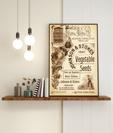 Piękna Stara Reklama do Wystroju Kuchni, WARZYWA, Grafika Retro, Vintage