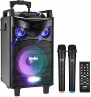 PRZENOŚNY GŁOŚNIK BLUETOOTH DO KARAOKE