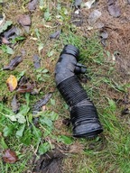 PRZEWÓD RURA POWIETRZA SEAT TOLEDO II 1.9 TDI