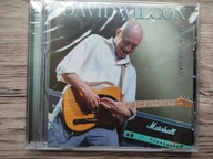 DAVID WILCOX - Boy In The Boat David Wilcox CD T