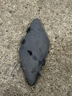 OPEL ASTRA 5 V K ZAŚLEPKA HAKA ZDERZAKA PRZÓD 13423599 OE