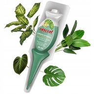 ODŻYWKA DO ROŚLIN DOMOWYCH ZIELONYCH AGRECOL GREEN STRONG 30ml