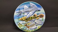 Stary ceramiczny wypukły talerz Ryby design