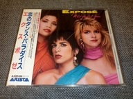 EXPOSE What You Don't Know /CD, JAPAN, ORYGINAŁ, UNIKAT, ITALO, NOWY, FOLIA