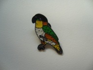 PIN PRZYPINKA BROSZKA PAPUGA