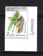 Białoruś 2025, zn. CIĘTY, Dzika Przyroda Białorusi, owady pasikonik zielony