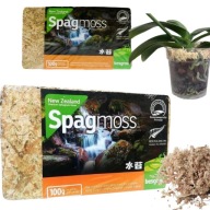 MECH SPHANGUM 8L IDEALNE WARUNKI DLA ROŚLIN WZMOCNIENIE KORZENIA