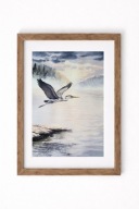 Akwarela „Czapla o poranku” –obraz z autorskiej serii ptaków 23x31 oryginał