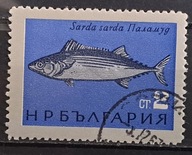 Ryby (**) - luzak - do uzupełnień 13/1