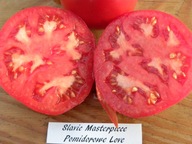 Pomidor Slavic Materpiece Arcydzieło Słowiańskie nasiona kolekcjonerskie