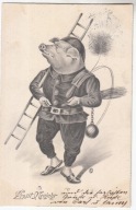 NOWY ROK ŚWINIA KOMINIARZ JAK Z BAJKI 1904