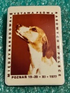 ODZNAKA MIĘDZYNARODOWA WYSTAWA PSÓW RASOWYCH W POLSCE - POZNAŃ 1977