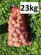 Ziemniaki Soraya worek 23 kg