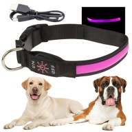 Obroża spacerowa dla psa LED świecąca w ciemności ładowana usb XL 48-60cm