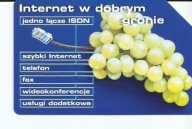 Karta nr. 1008 Internet w dobrym gronie