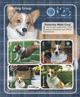 Gambia 2009 ** cena 7,50 zł kat.6€ - fauna, psy