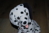 pluszak maskotka piesek cudny dalmatyńczyk 40 cm