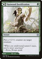 Karta Magic: The Gathering Vastwood Fortification ZNR