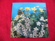 LECH babie lato / kwiaty które ci przyniosłem POCZTÓWKA DŹWIĘKOWA 1978 NM