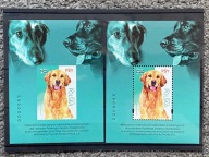 Folder Nowodruki A+B Psy NUMER