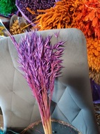 owies naturalny suszony zboże susz kwiaty trawa ozdobna fiolet 30szt