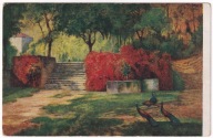 Pawie Ptaki park 1919r.