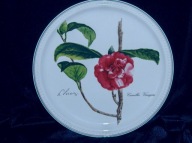 Villeroy&Boch Talerz kolekcjonerski obraz porcelanowy Kamelia Nik.Liex 1990