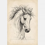 Koń głowa szkic vintage obraz na płótnie 55x80 ołówek stary styl kreska art
