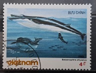 Ryby (kas) - luzak - do uzupełnień 13/6