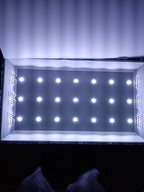 Podświetlenie Led od Sony KD-32W800