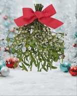 Jemioła do zawieszenia z białymi kulkami czerwona kokarda Hit Świąt