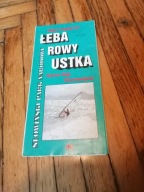 Łeba Rowy Ustka stary plan miasta