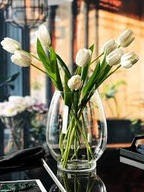 Duża Szklana Waza/wazon Hydroponiczna