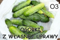BANER PLANDEKA SPRZEDAŻ OGÓRKÓW OGÓRKI 100x50 O3